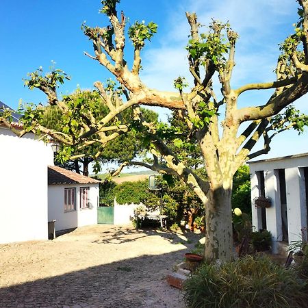 Quinta Santo Antonio Villa Pereiro da Palhacana Dış mekan fotoğraf