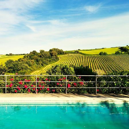 Quinta Santo Antonio Villa Pereiro da Palhacana Dış mekan fotoğraf