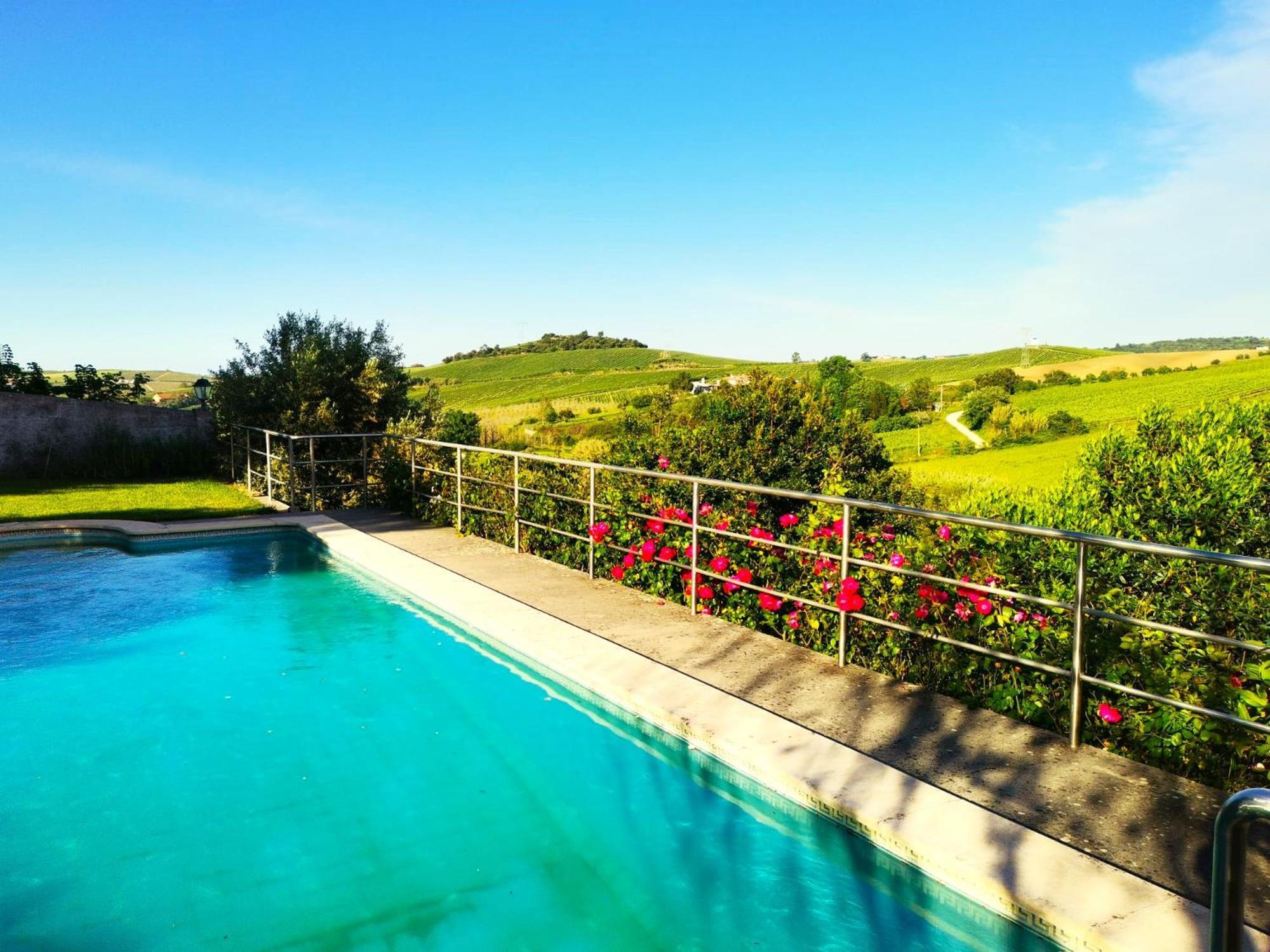 Quinta Santo Antonio Villa Pereiro da Palhacana Dış mekan fotoğraf